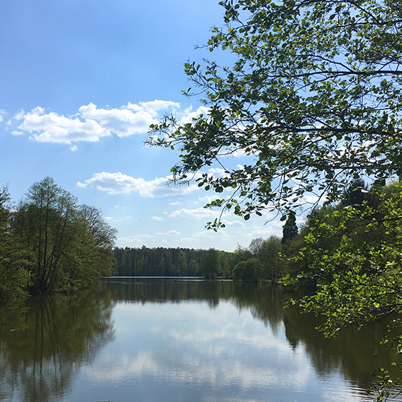 Jägersburger Weiher